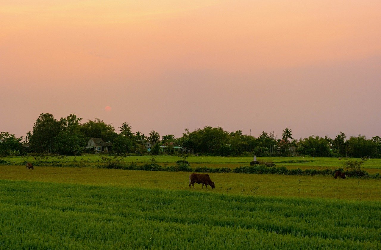 découvrez l'asean, l'association des nations de l'asie du sud-est, une organisation régionale favorisant la coopération économique, politique et culturelle entre ses états membres pour la stabilité et la croissance en asie du sud-est.