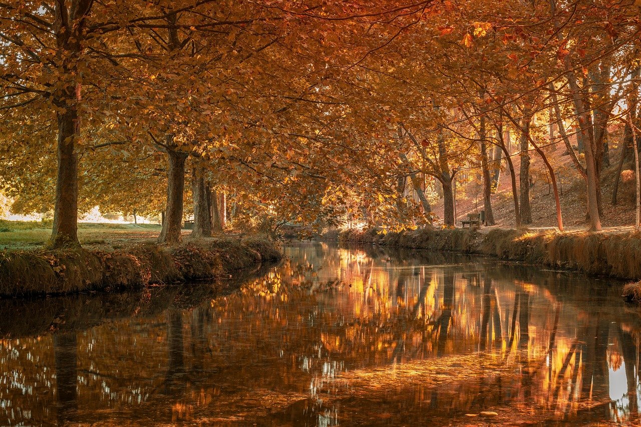 découvrez l'espagne : un pays riche en histoire, en culture, en gastronomie et en paysages magnifiques, des plages méditerranéennes aux villes pleines de vie comme madrid et barcelone.