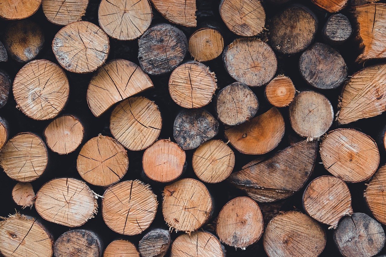 circular-economy-5 Économie Circulaire et Gestion Durable des Ressources : Vers un Futur Écologique