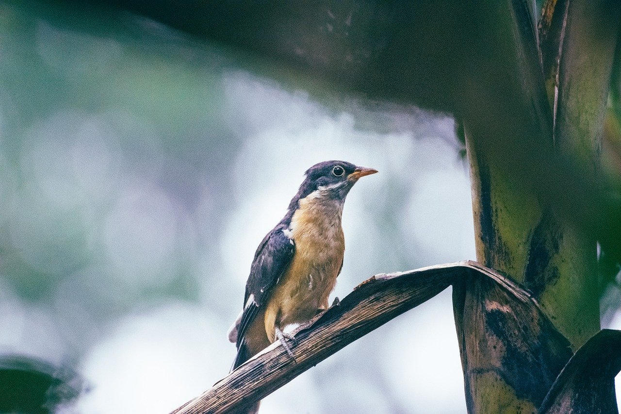 wildlife-2 Colin Giraud, Gardien du Bien-Être Animal au Zoo de Beauval : Une Passion Profonde pour la Vie Sauvage