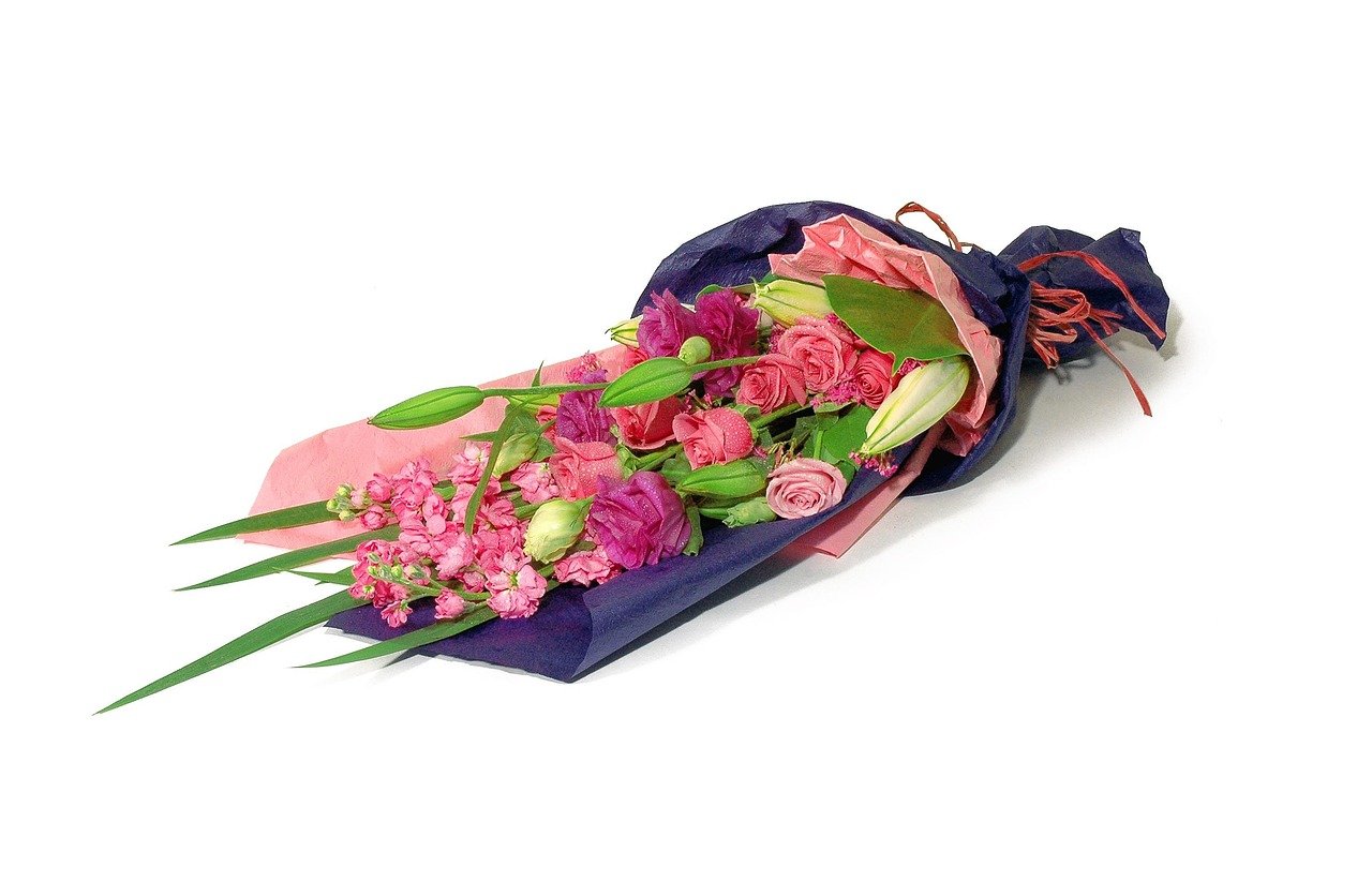 découvrez nos événements et activités pour commémorer des moments importants avec respect et mémoire partagée.