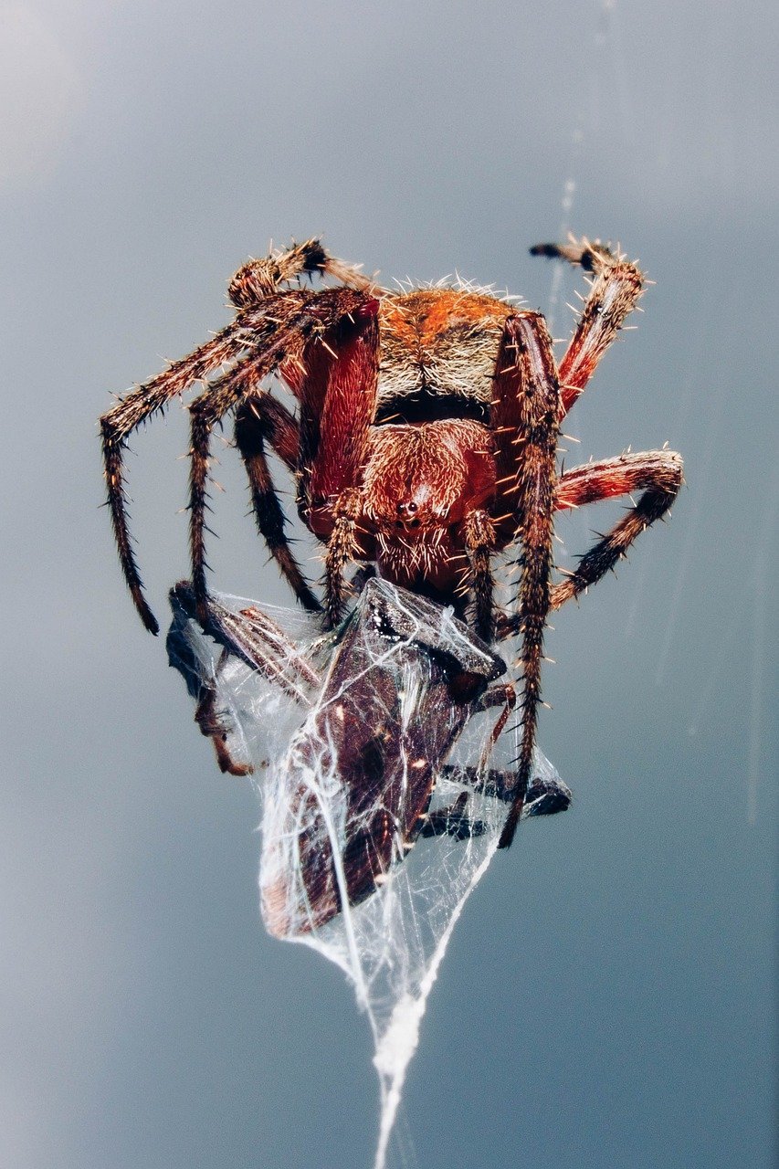 fear-economics-2 Plongée au cœur de l'économie de la peur : comment l'angoisse façonne nos marchés