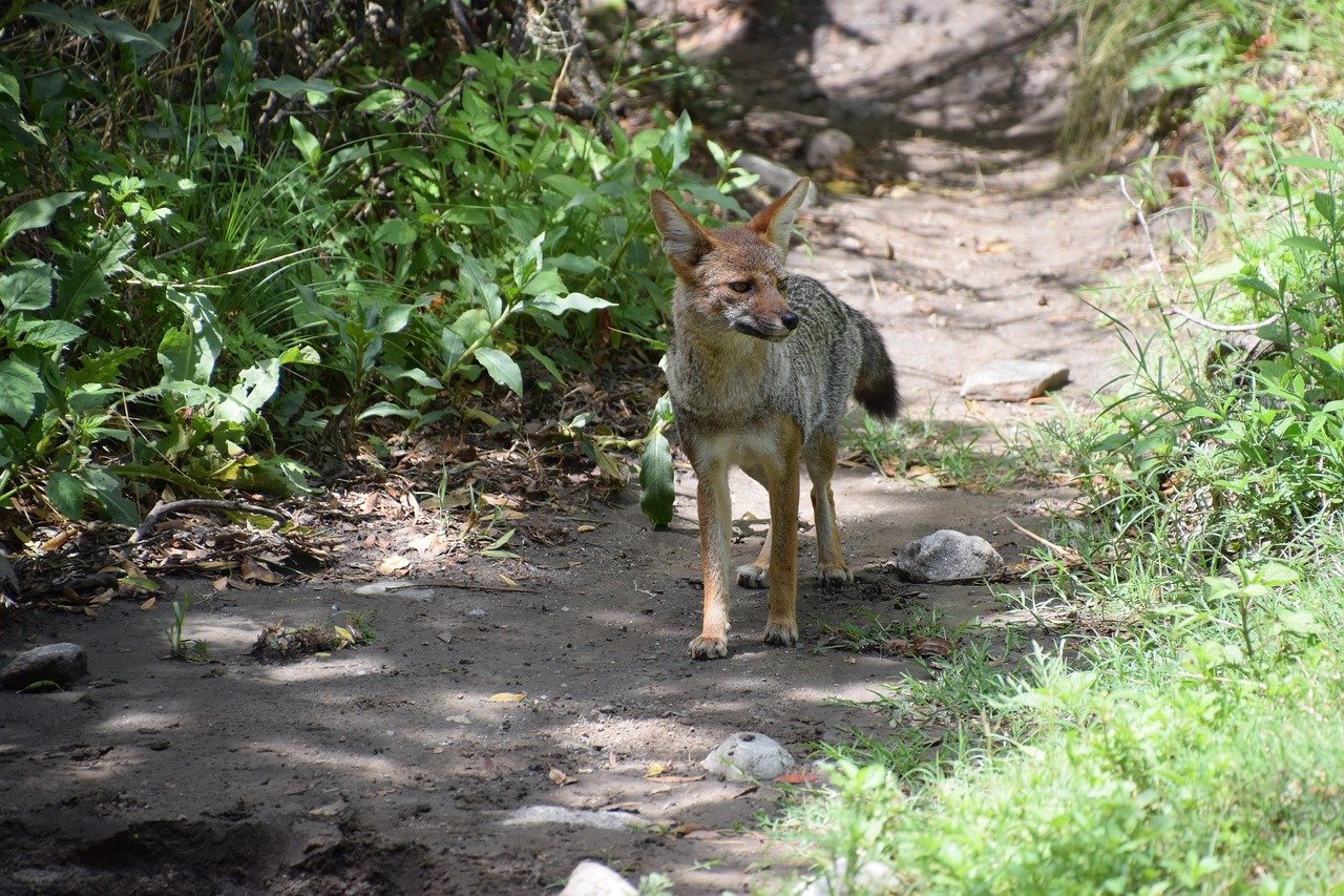 luis-enrique-2 Luis Enrique met fin au débat : fini les discussions sur les récompenses individuelles au PSG malgré ses inquiétudes