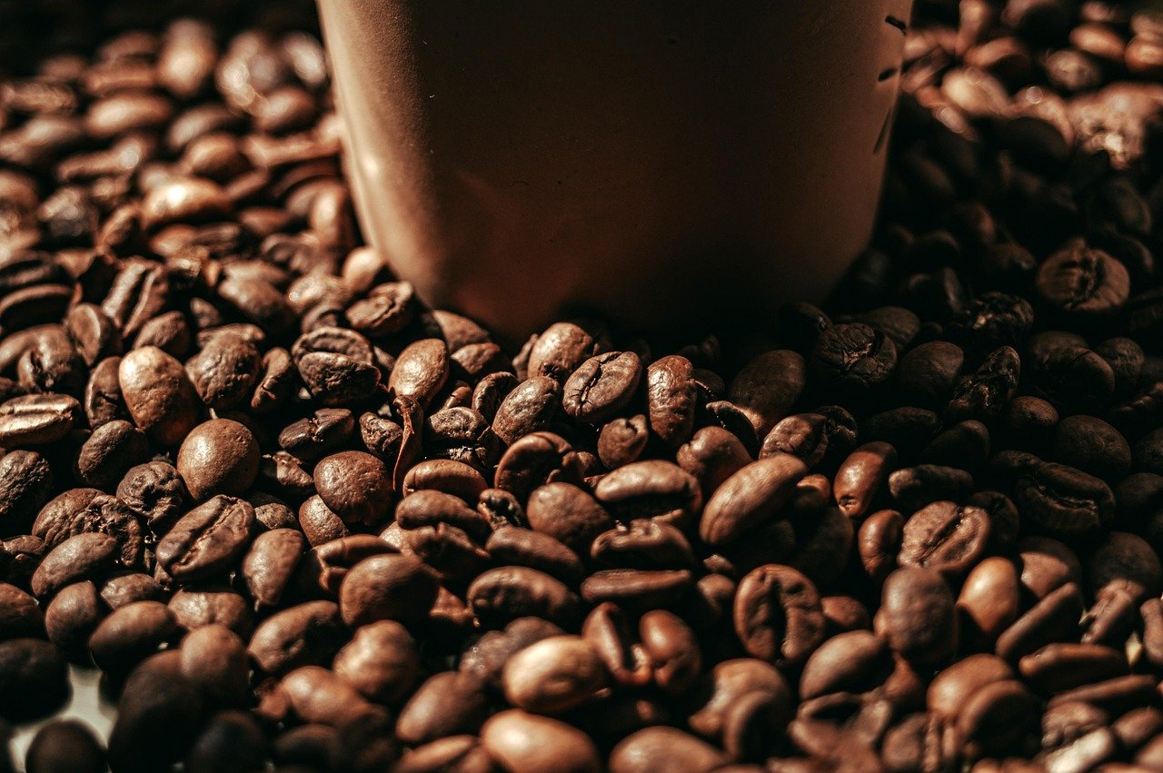 rodez-2 Football : Rodez brille face à Lavaur pour lancer sa campagne en Coupe de France