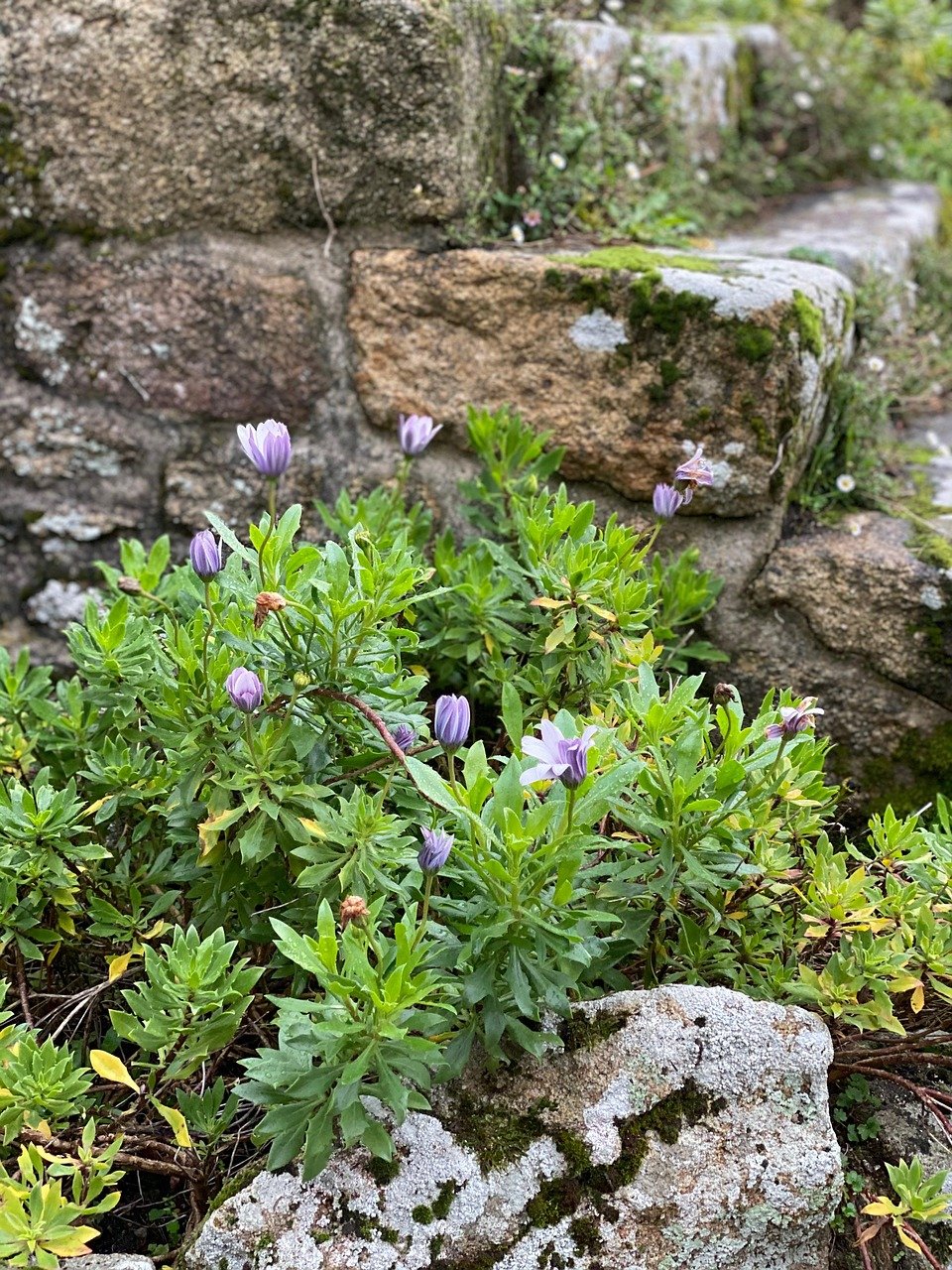 thalazur-carnac-2 La mer se réinvente : Thalazur Carnac, un havre de bien-être au cœur des vagues