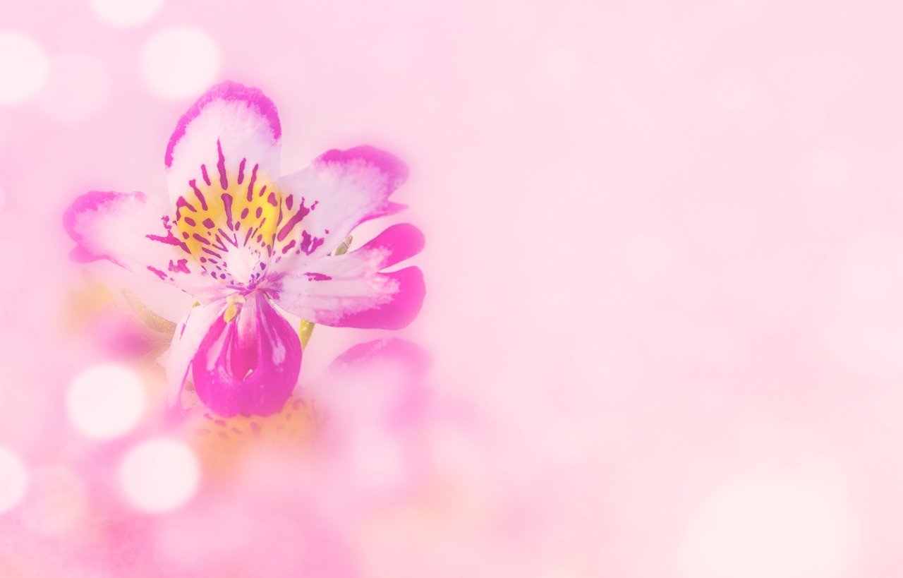 wellness-space-1 Nouvelle vie professionnelle : elle lance un espace bien-être au cœur d’un charmant village du Lot-et-Garonne