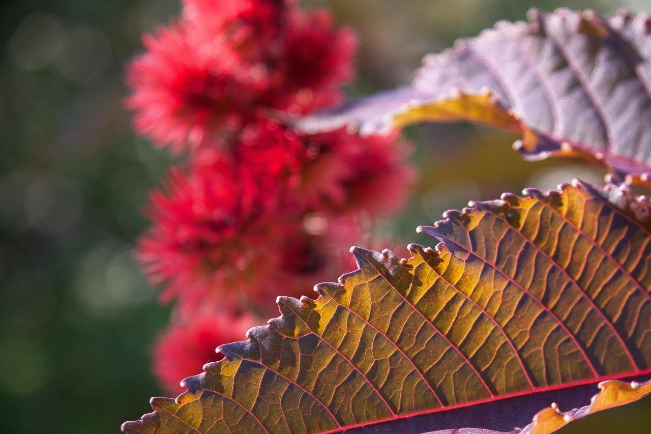 découvrez les moments forts de notre réunion de famille : rires, souvenirs précieux et retrouvailles inoubliables.