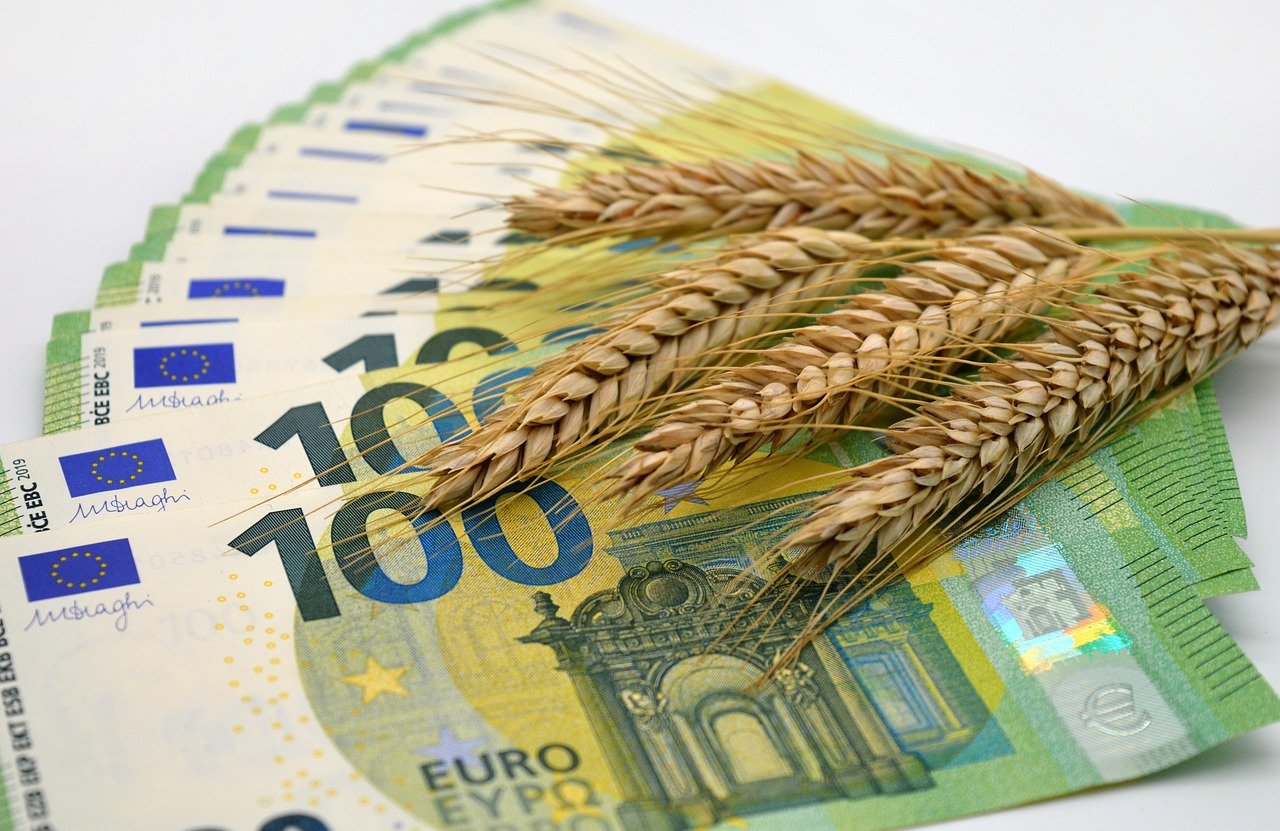 découvrez l'impact de l'inflation des prix alimentaires sur votre budget et comment s'adapter aux changements du marché pour mieux gérer vos dépenses.