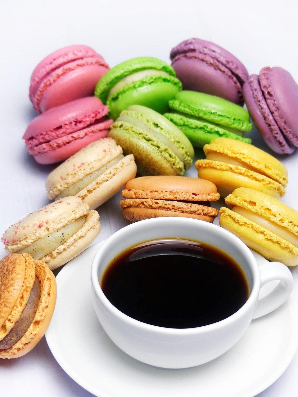 découvrez la french cup, la compétition emblématique qui célèbre le meilleur du football français avec passion et intensité.