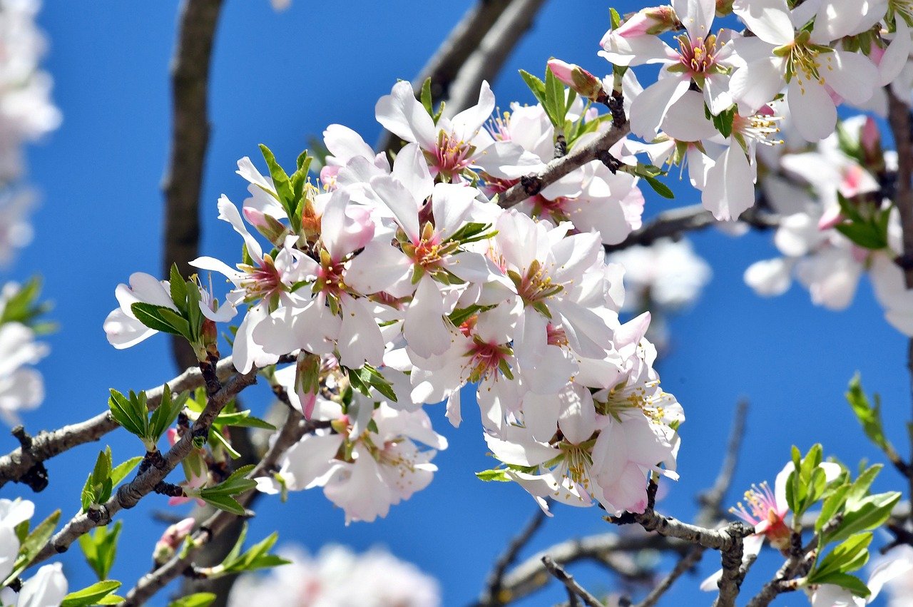 syrian-economy-1 Un an sans Assad : quelles transformations pour l'économie syrienne ?