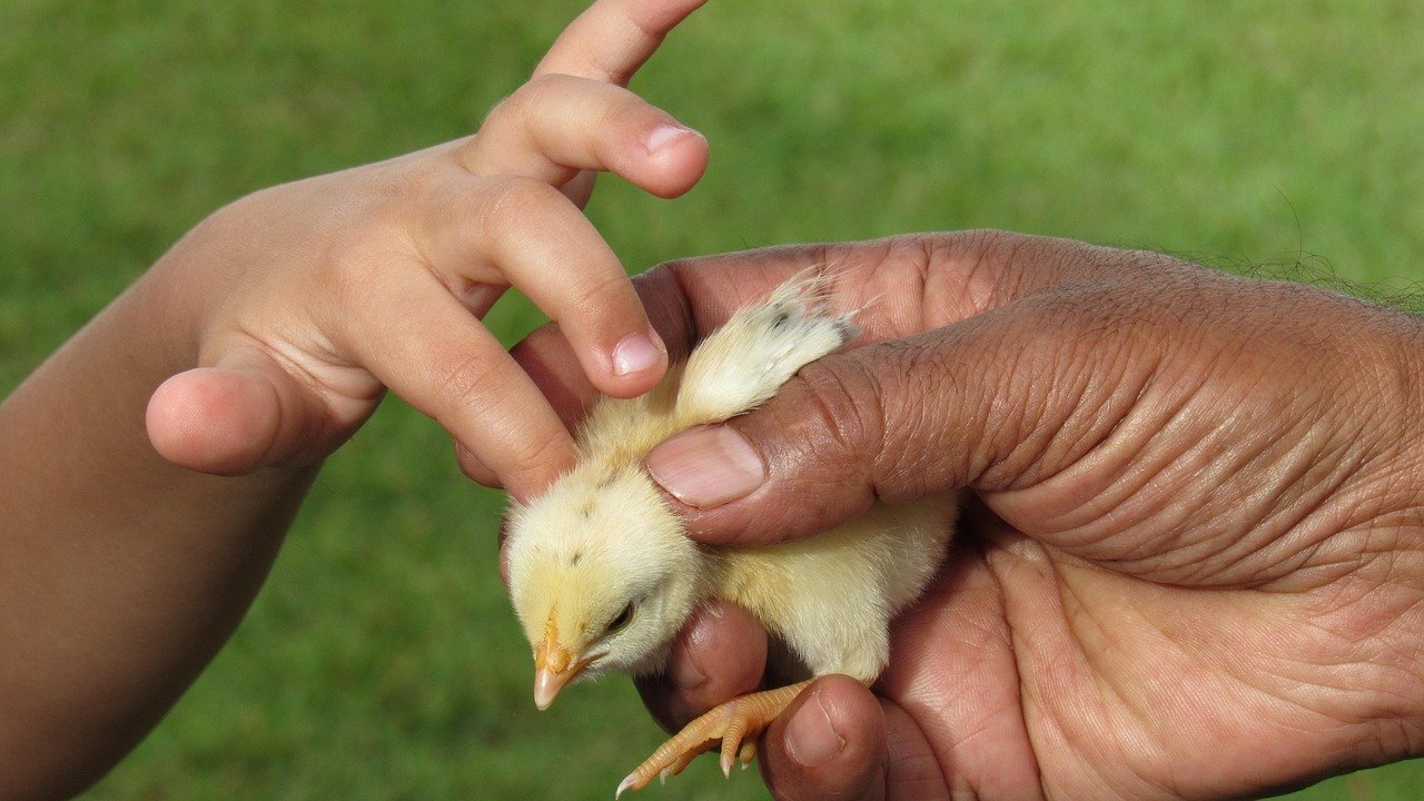 découvrez l'importance de la tolérance dans la société pour promouvoir le respect, la compréhension et l'harmonie entre les individus de cultures et d'opinions diverses.