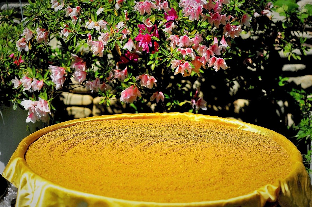 well-being-2 EXCLU : Elodie Gossuin dévoile ses secrets bien-être – « Vivre à la campagne, c’est ma source de sérénité au quotidien »