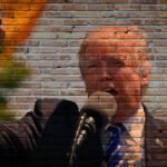 découvrez des informations clés, actualités et analyses sur donald trump, ancien président des états-unis et figure influente de la politique mondiale.