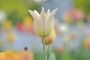 résumé complet des actualités du soir du 28 avril 2026, couvrant les événements marquants, la politique, l'économie et bien plus.