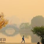 découvrez les dernières actualités du matin pour bien commencer votre journée avec les informations clés et les événements importants.