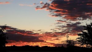 découvrez les dernières actualités du matin pour bien commencer votre journée avec notre morning news.
