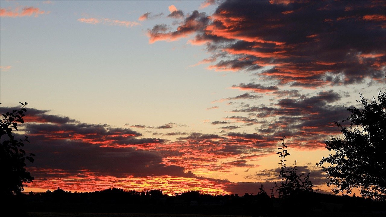 découvrez les dernières actualités du matin pour bien commencer votre journée avec notre morning news.