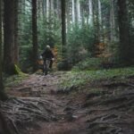 découvrez tout sur le cyclisme : conseils, équipements, itinéraires et actualités pour passionnés de vélo.