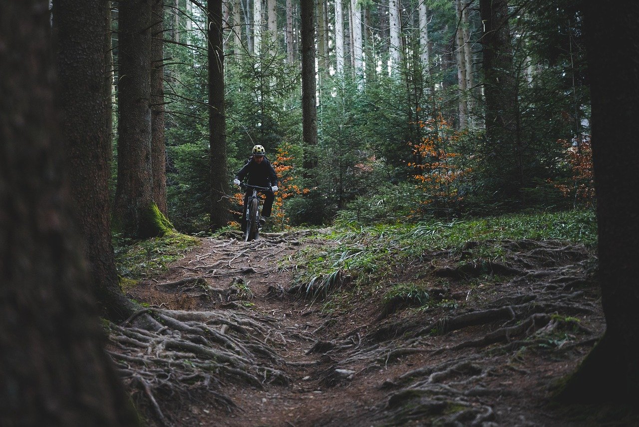 découvrez tout sur le cyclisme : conseils, équipements, itinéraires et actualités pour passionnés de vélo.
