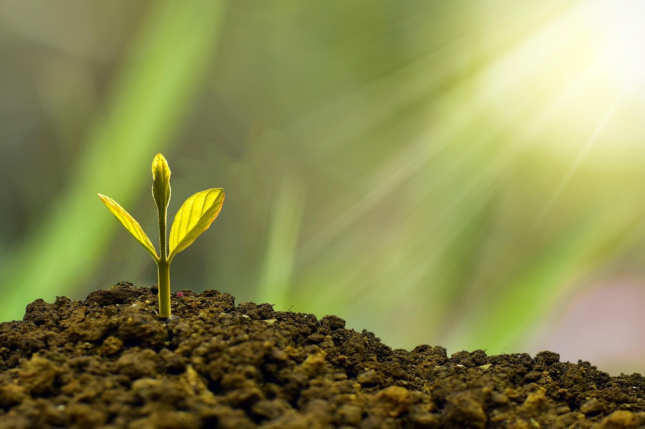 découvrez l'économie verte : un modèle de développement durable favorisant la protection de l'environnement, l'innovation écologique et la croissance économique responsable.