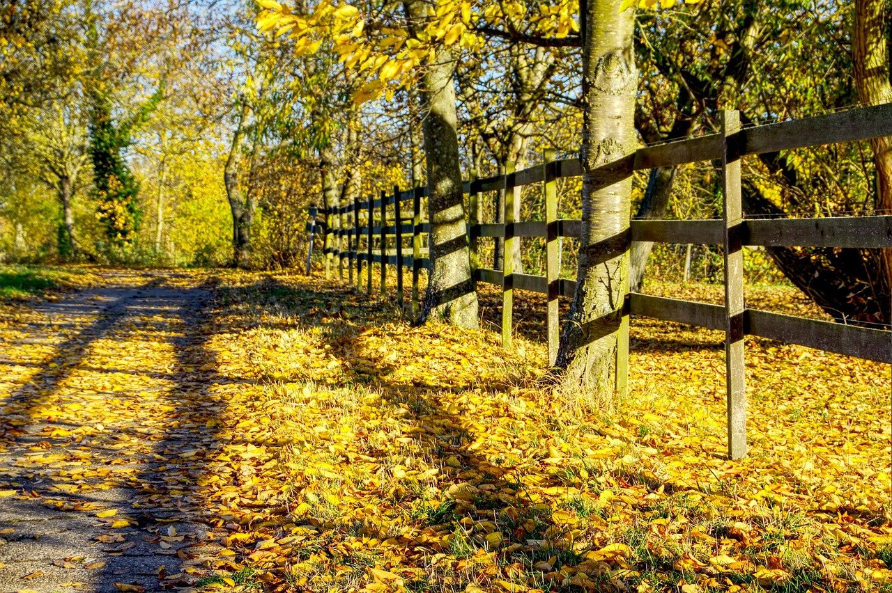 high-fences-1 : Pourquoi les clôtures trop hautes pourraient vous coûter cher – Guide pratique par TRUC MANIA