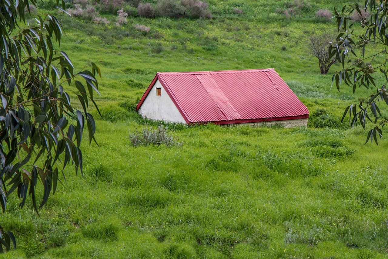 découvrez notre gamme de tondeuses à gazon performantes et faciles à utiliser pour un jardin parfaitement entretenu toute l'année.