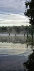 découvrez les dernières actualités du matin pour bien commencer votre journée avec nos infos fraîches et essentielles.