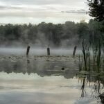 découvrez les dernières actualités du matin pour bien commencer votre journée avec nos infos fraîches et essentielles.