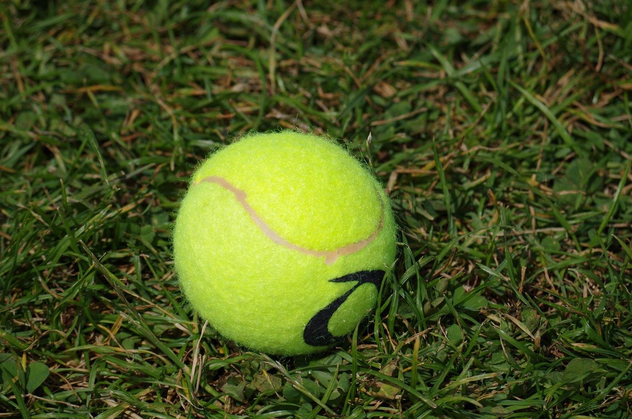 découvrez tout sur le tennis : règles, techniques, actualités et conseils pour améliorer votre jeu, que vous soyez débutant ou joueur confirmé.