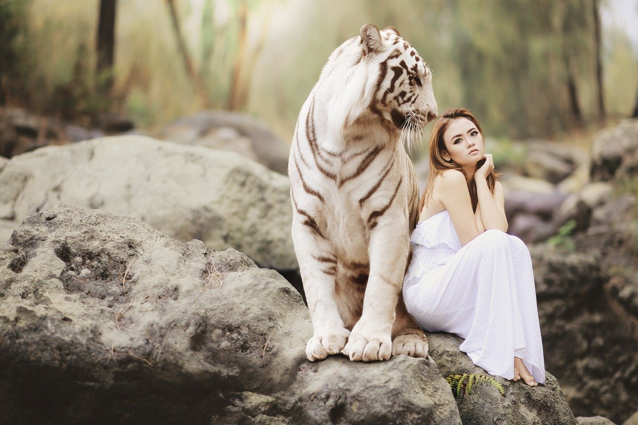 découvrez 'tiger escape', un jeu palpitant où vous devez aider un tigre à s'évader en résolvant des énigmes captivantes et en évitant les obstacles. plongez dans une aventure pleine d'action et de stratégie !