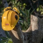découvrez les meilleures saisons pour tailler vos arbres et assurer leur santé et croissance optimale tout au long de l'année.