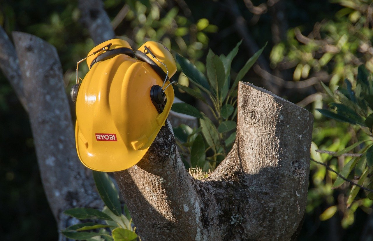 découvrez les meilleures saisons pour tailler vos arbres et assurer leur santé et croissance optimale tout au long de l'année.
