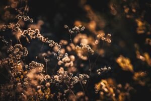 découvrez les faits marquants de la soirée avec notre récapitulatif des événements les plus importants et captivants.