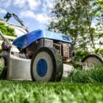 découvrez des astuces et conseils pratiques pour le jardinage, cultivez vos plantes avec succès et transformez votre espace extérieur en un véritable havre de paix.
