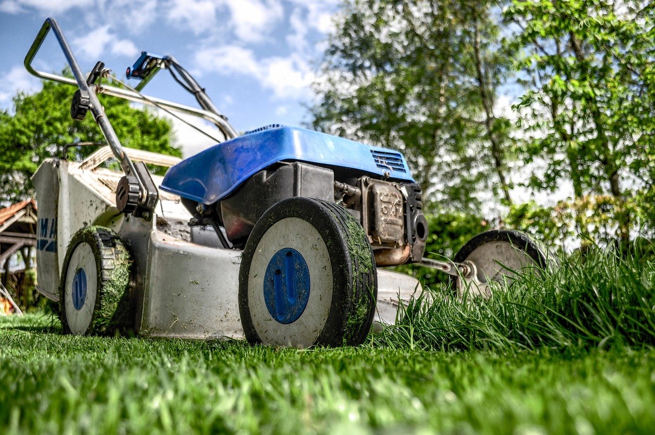découvrez des astuces et conseils pratiques pour le jardinage, cultivez vos plantes avec succès et transformez votre espace extérieur en un véritable havre de paix.