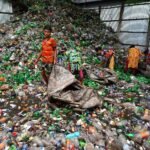 recyclage des déchets verts : transformez vos résidus de jardin en compost écologique pour un environnement plus sain et durable.
