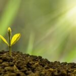 découvrez les meilleures stratégies d'investissement pour faire fructifier votre patrimoine et atteindre vos objectifs financiers en toute sécurité.