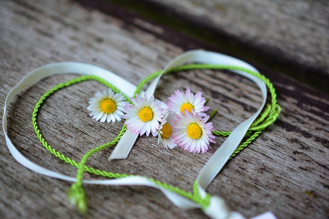 love-1 Sentiments versus amour : comprendre la subtile frontière entre affection et passion
