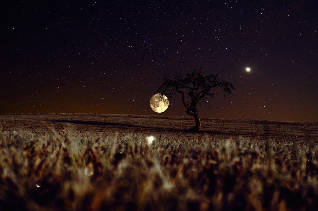 moon-1 « La lune charme par sa distance : les plus belles phrases naissent parfois de ce qui nous échappe »