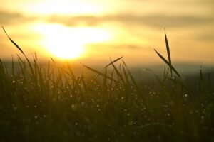 suivez les dernières nouvelles du matin avec notre mise à jour quotidienne. restez informé des événements importants dès votre réveil.