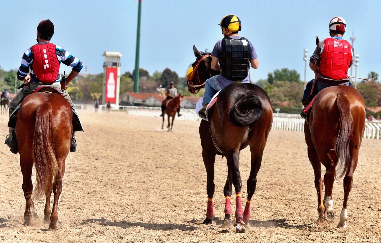 découvrez tout sur les chevaux de course : leur entraînement, leurs courses emblématiques et leur passionnante histoire.