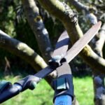 guide complet pour la taille des rosiers : conseils pratiques pour entretenir vos rosiers, favoriser une floraison abondante et préserver leur santé tout au long de l'année.