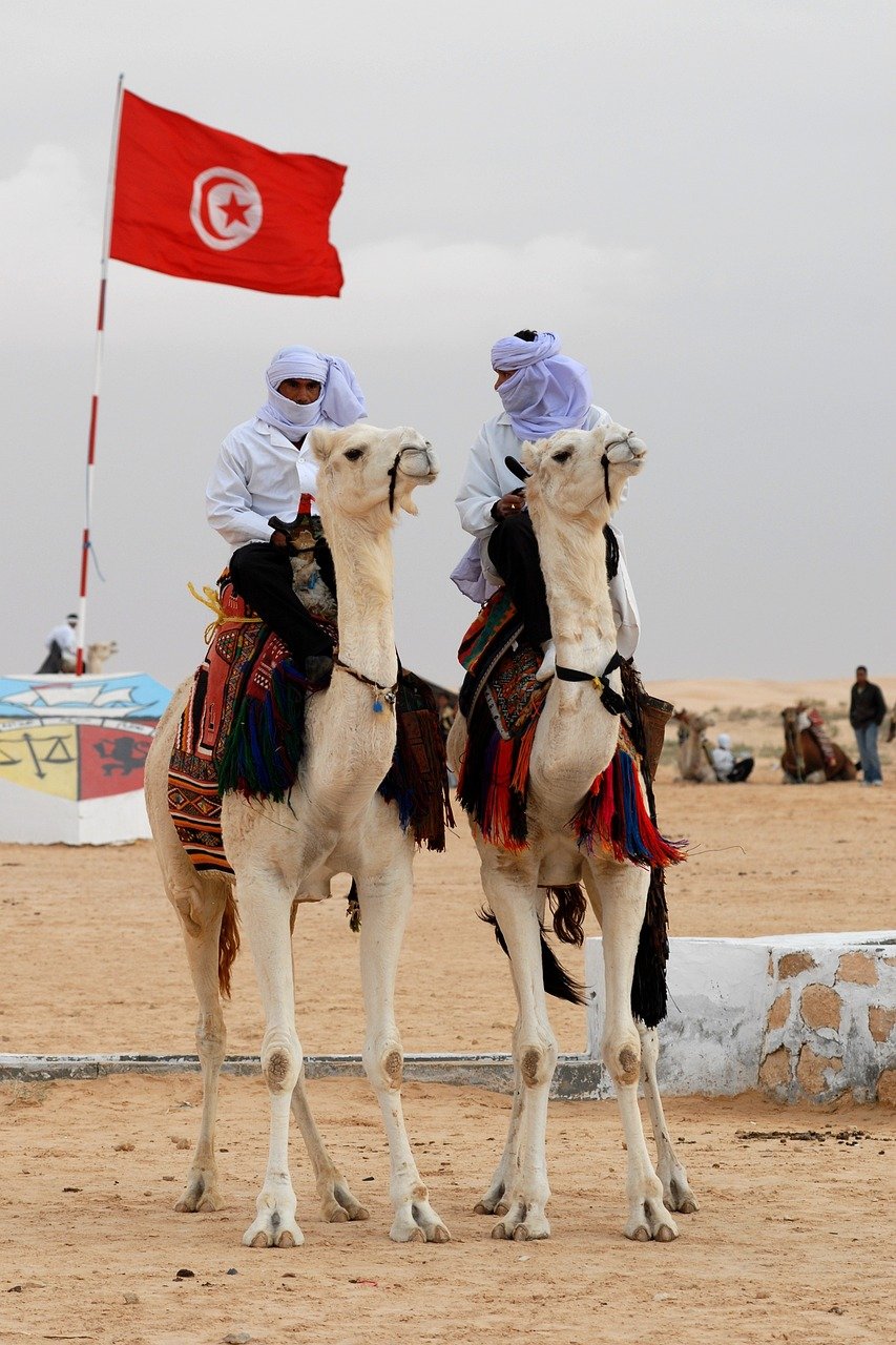 tunisia-crisis-1 Crise en Tunisie : Lamouchi en sursis, un nouvel espoir pour son avenir ?