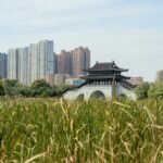 découvrez nos conseils et astuces pour créer et entretenir des jardins urbains, même en petit espace, pour une nature à portée de main en ville.