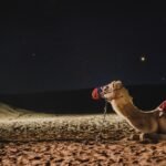 découvrez le galaxy s27, le smartphone nouvelle génération avec des performances exceptionnelles, un écran ultra immersif et un appareil photo révolutionnaire pour une expérience mobile inégalée.
