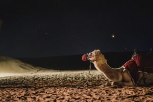 découvrez le galaxy s27, le smartphone nouvelle génération avec des performances exceptionnelles, un écran ultra immersif et un appareil photo révolutionnaire pour une expérience mobile inégalée.