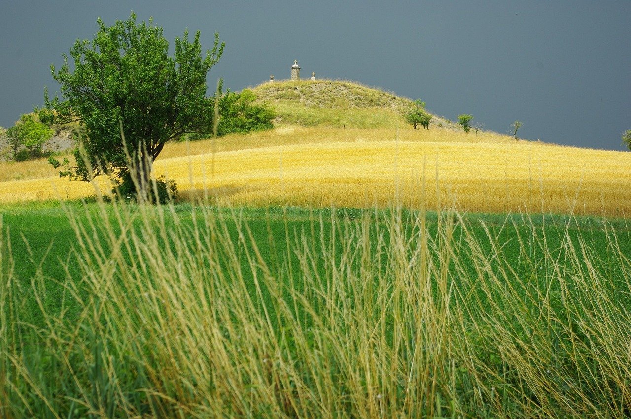 découvrez l'aveyron en été : nature, aventure et culture pour des explorations inoubliables sous le soleil.