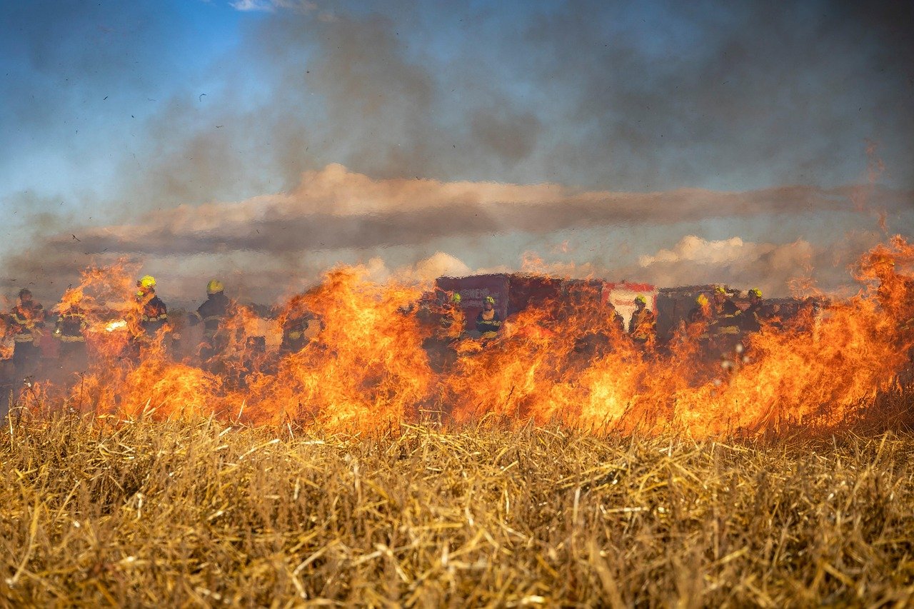 wildfire-1 Un gigantesque incendie réduit plusieurs maisons en cendres dans le Var