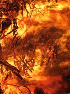 découvrez les causes, les effets et les mesures de prévention des feux de forêt, ainsi que les conseils pour assurer votre sécurité en cas d'incendie.