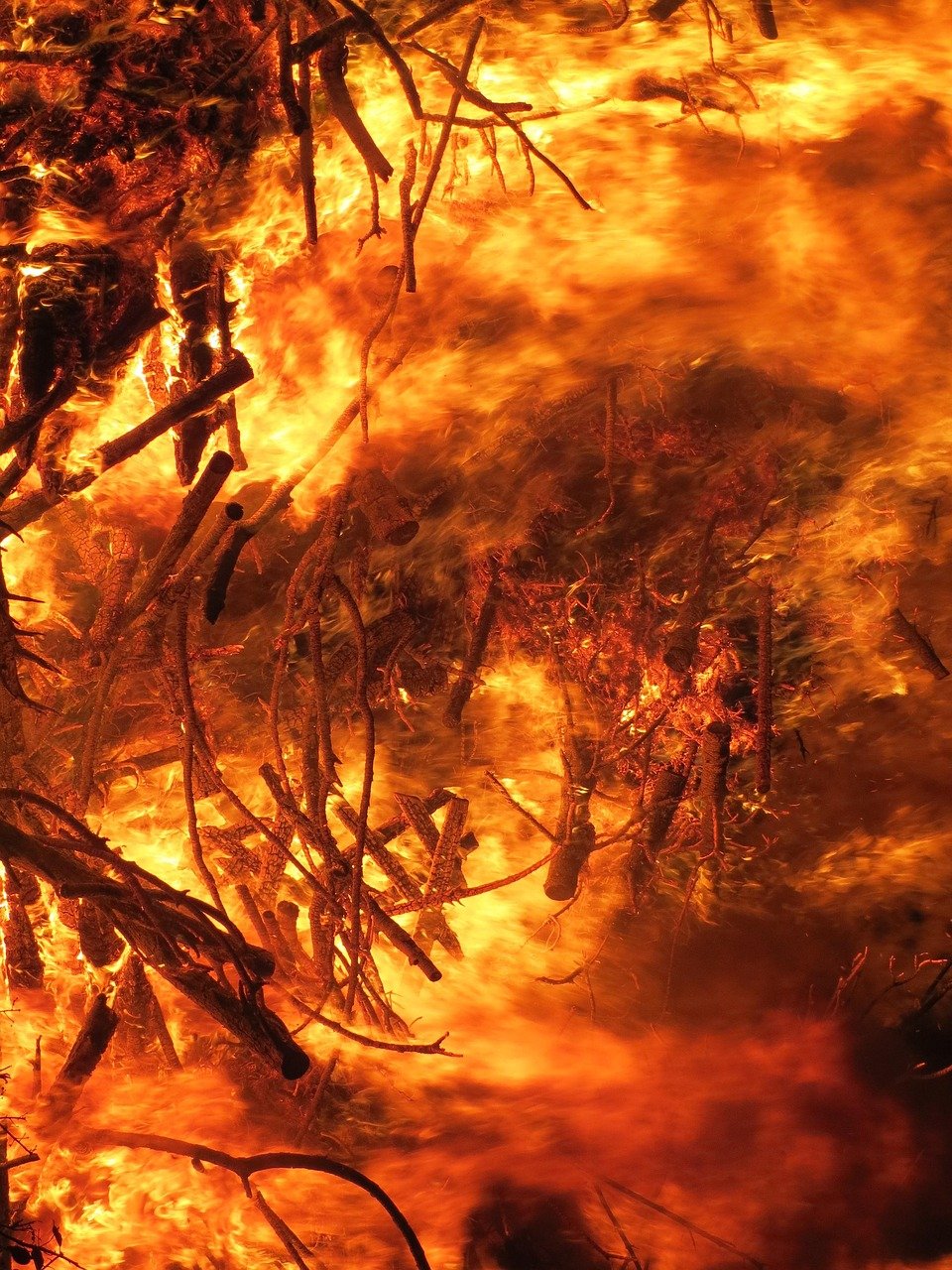 découvrez les causes, les effets et les mesures de prévention des feux de forêt, ainsi que les conseils pour assurer votre sécurité en cas d'incendie.